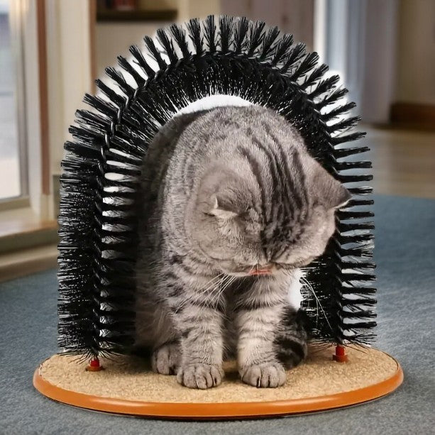 Cat Toy Arch Self Grooming Pad