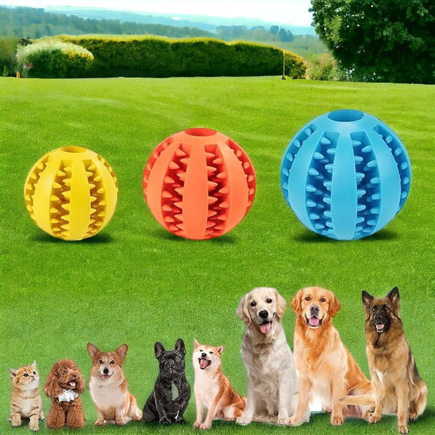 Interactive Pets Rubber Balls